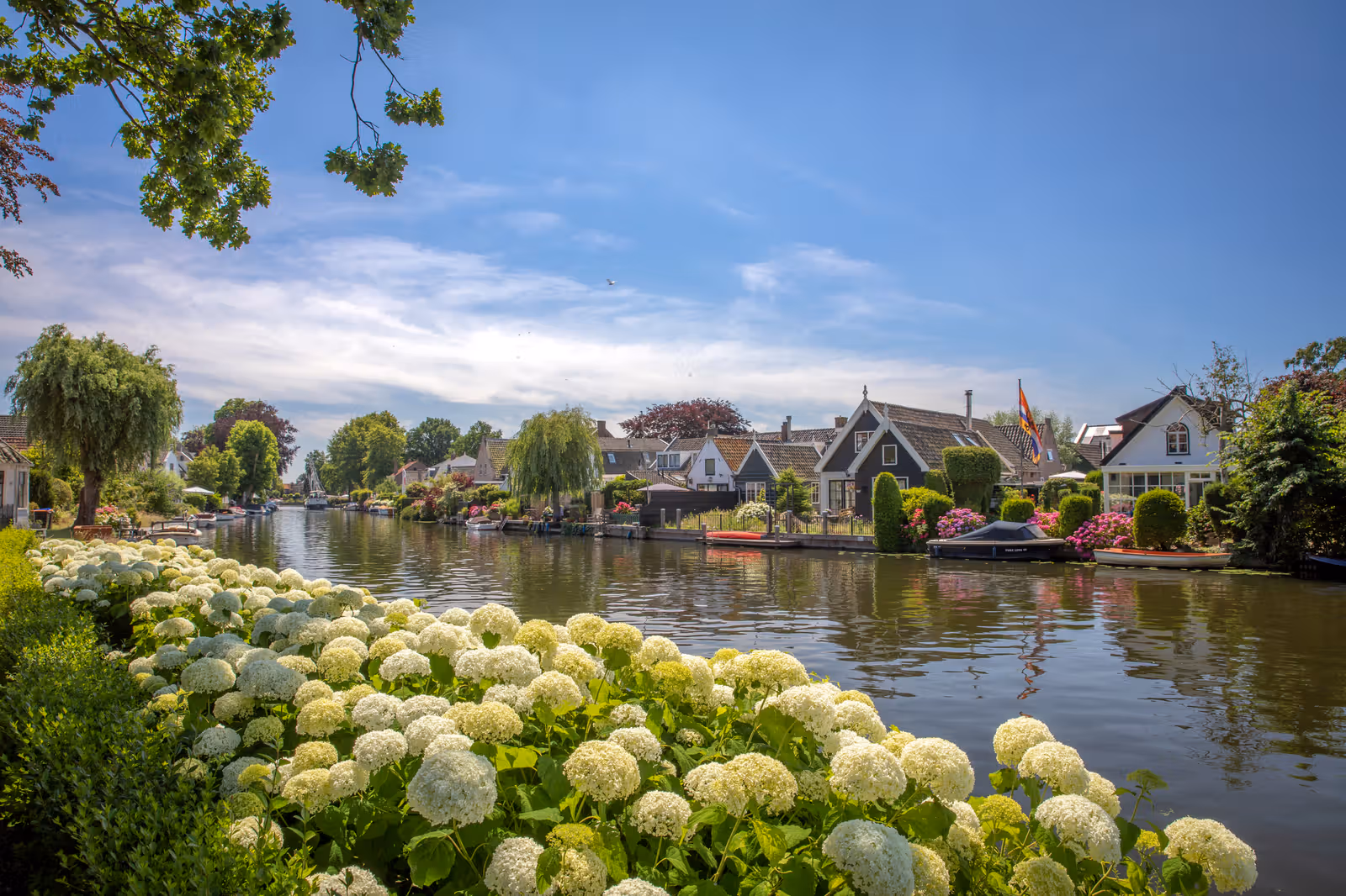 Gracht met hortensia's