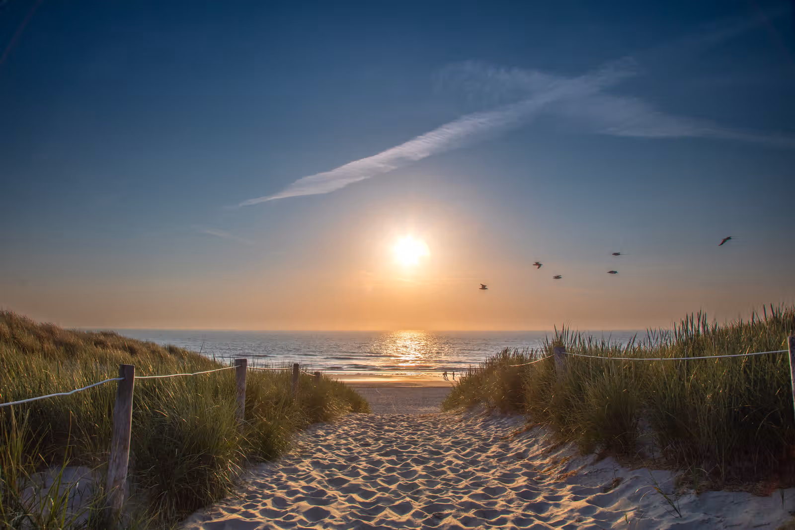 Duinpad naar zee bij zonsondergang
