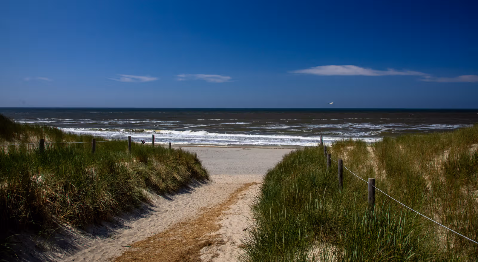Duinenpad naar zee