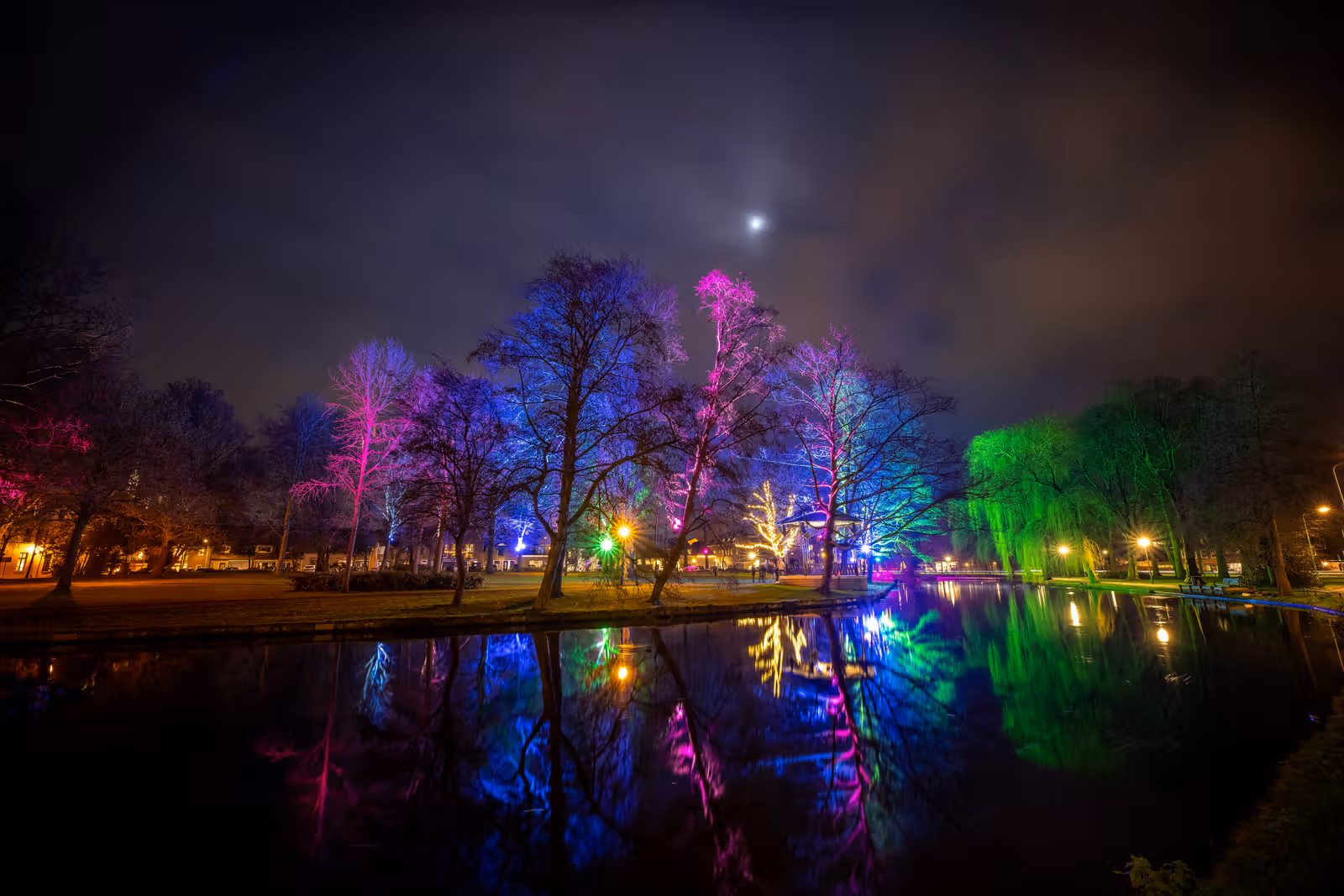 Kleurrijke verlichte bomen langs water