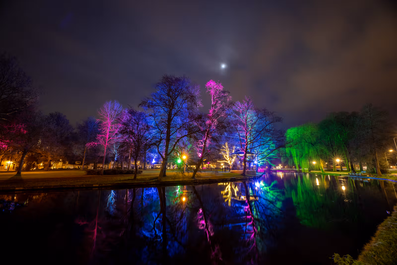 Gekleurde verlichte bomen bij water