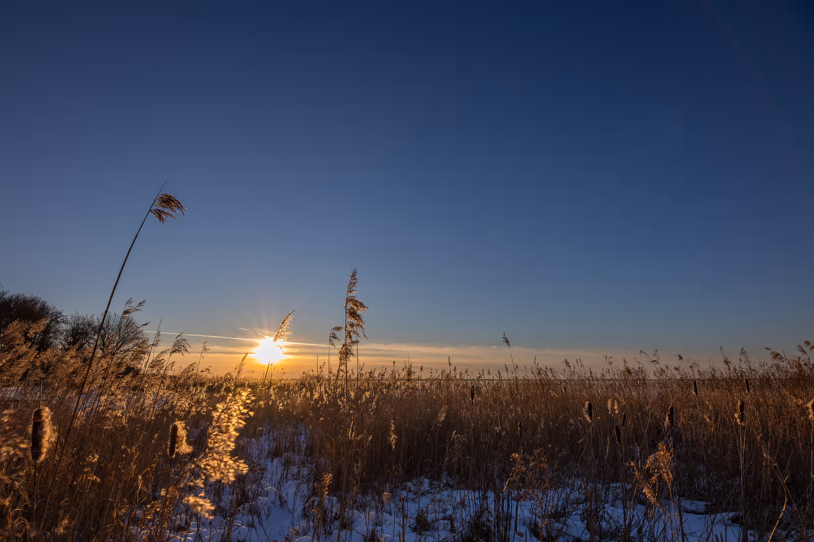 Rietlandschap bij zonsondergang