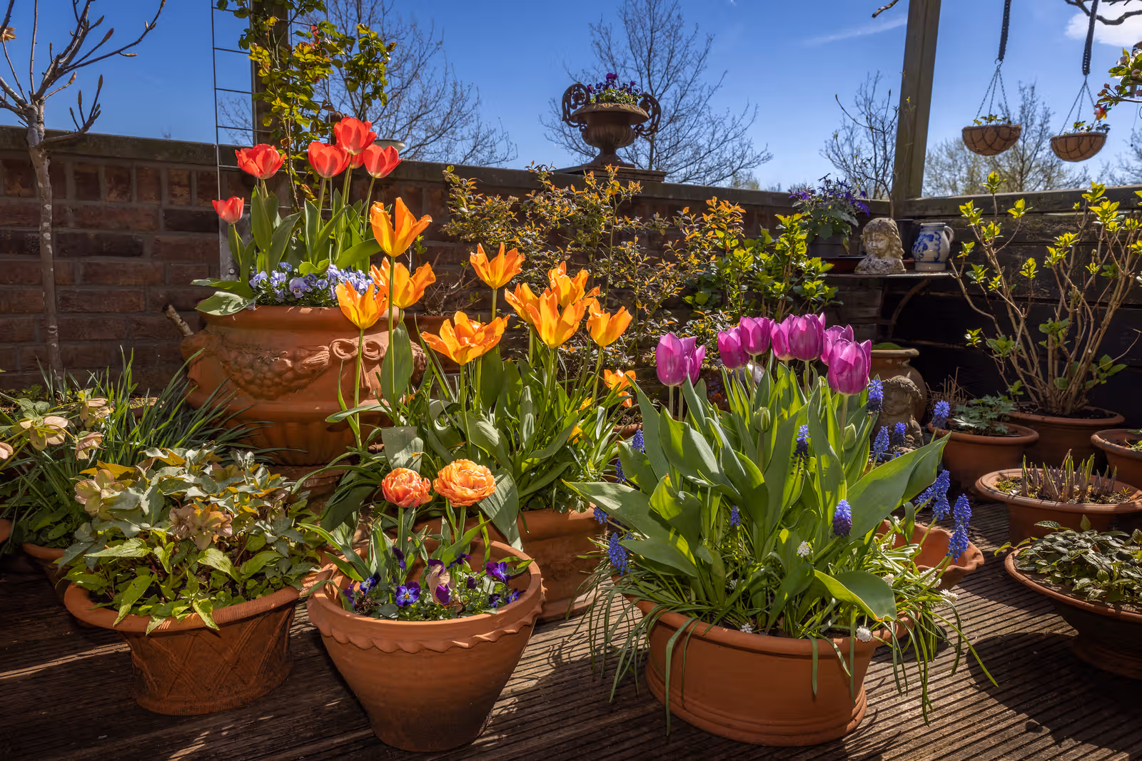 Bloemen op terras