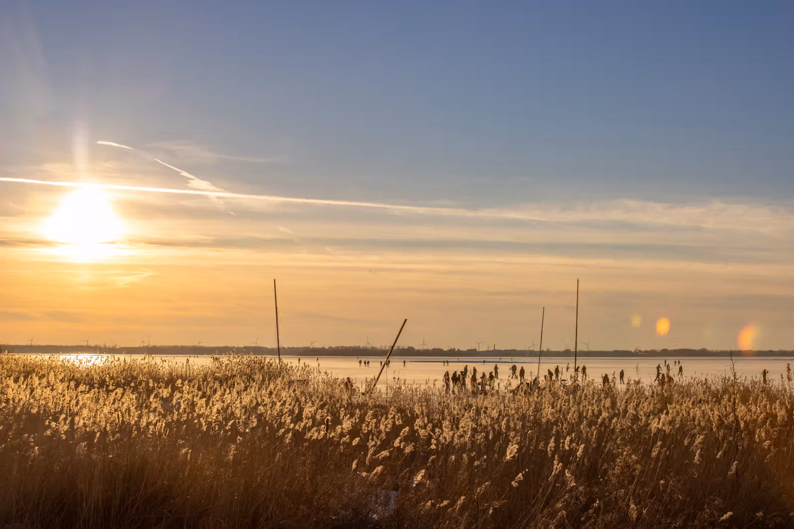 Rietveld bij ondergaande zon