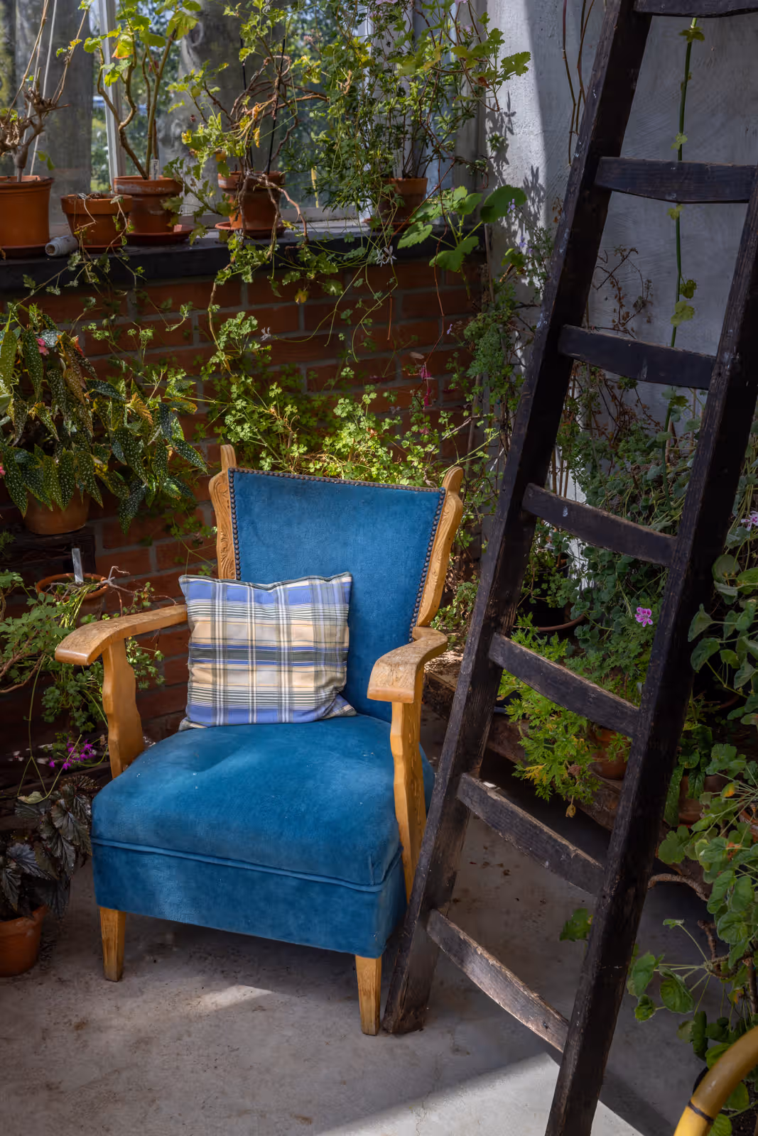 Blauwe fauteuil tussen planten