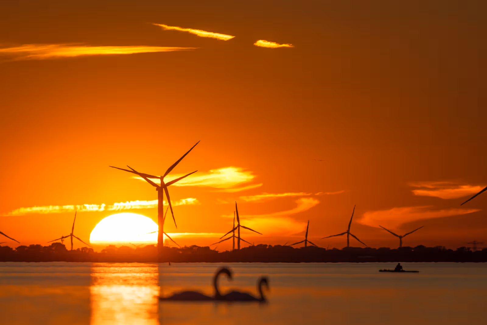 Zonsondergang met windmolens en zwanen