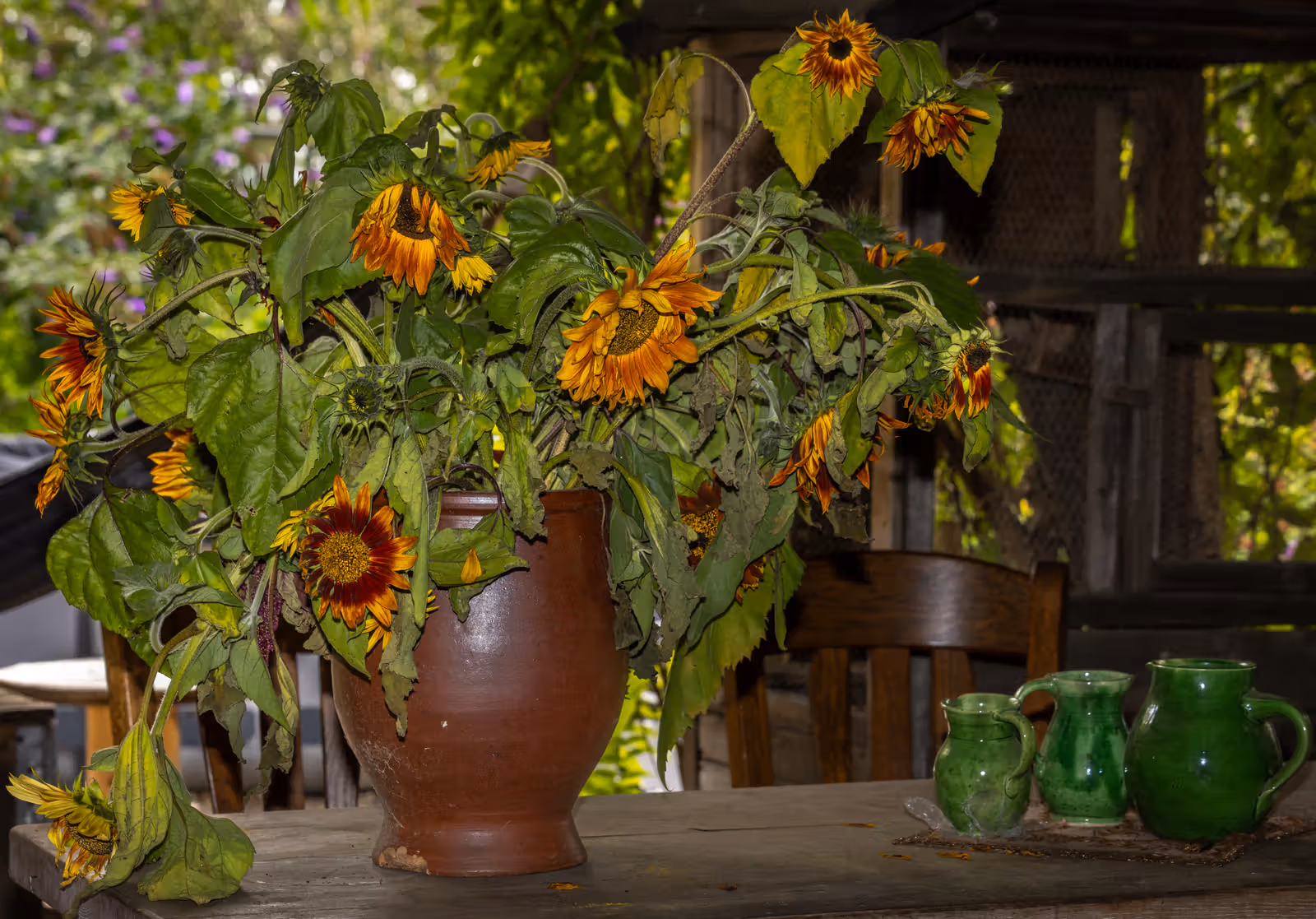 Verwelkte zonnebloemen in vaas