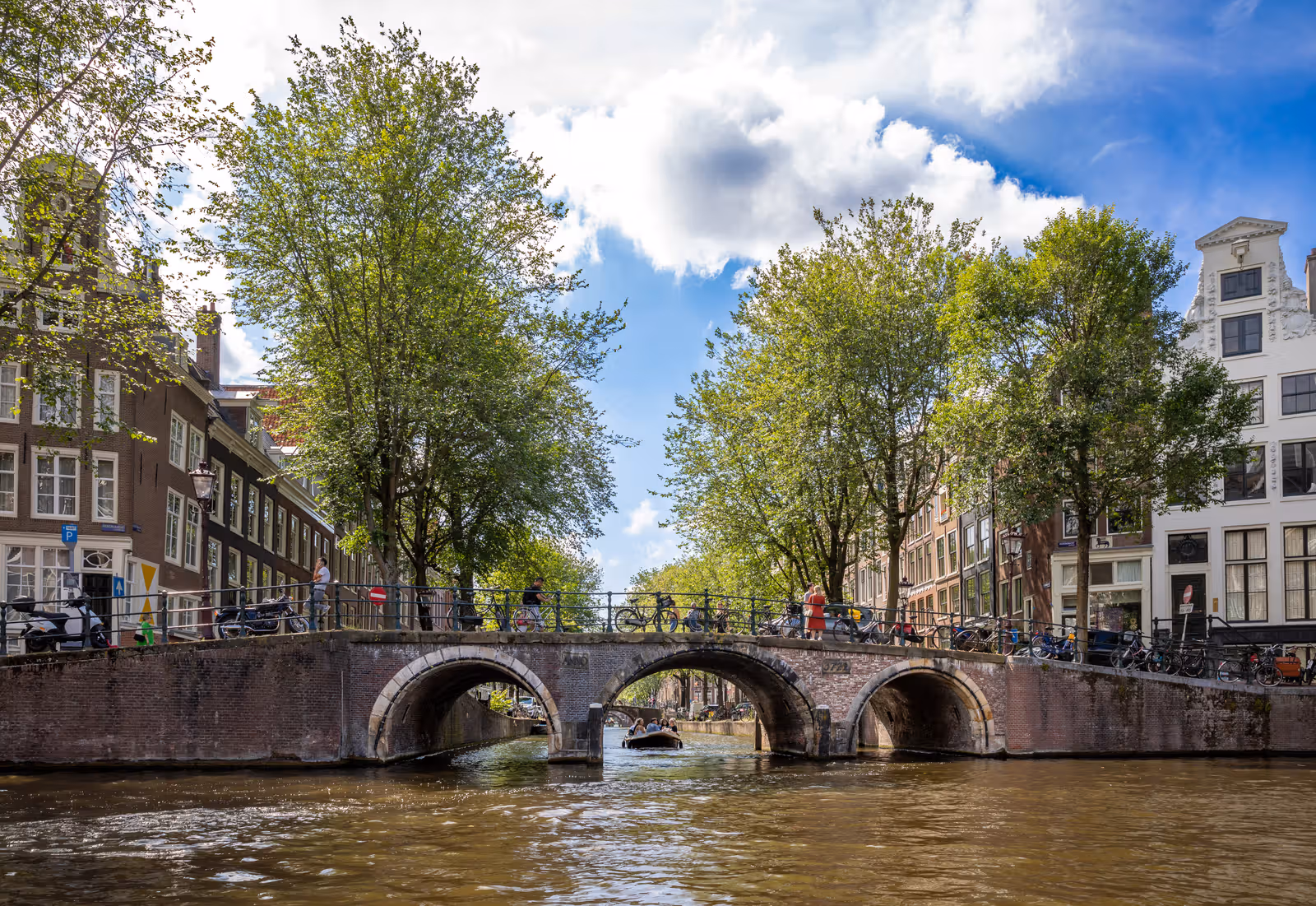 Grachtbrug met bomen
