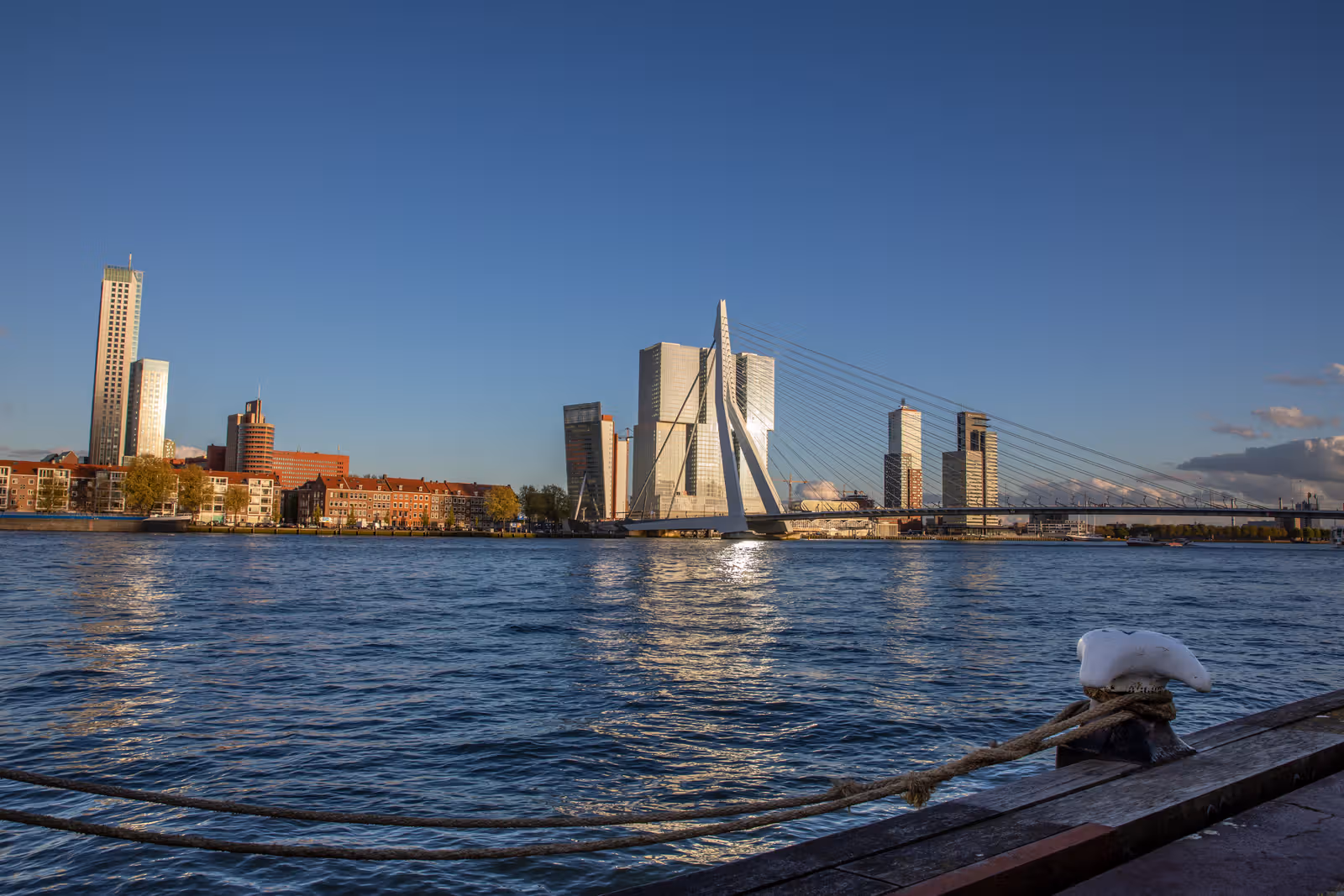 Kabelbrug en skyline aan het water