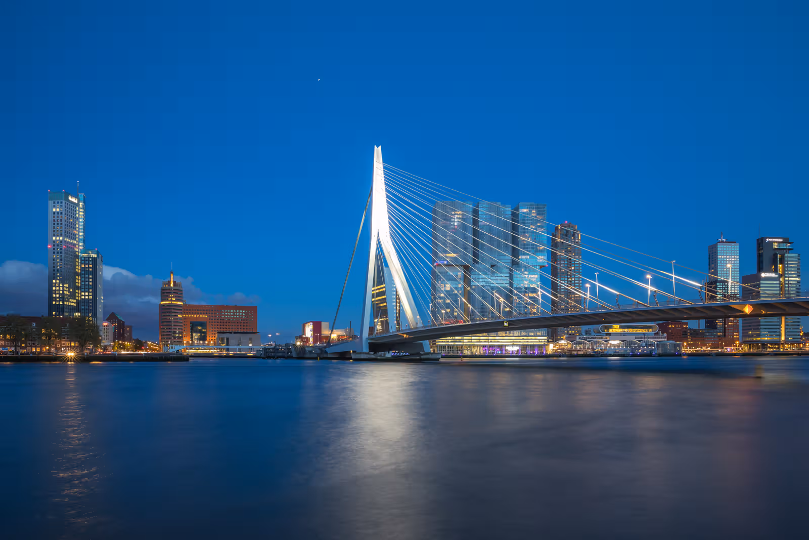 Verlichte kabelbrug en skyline