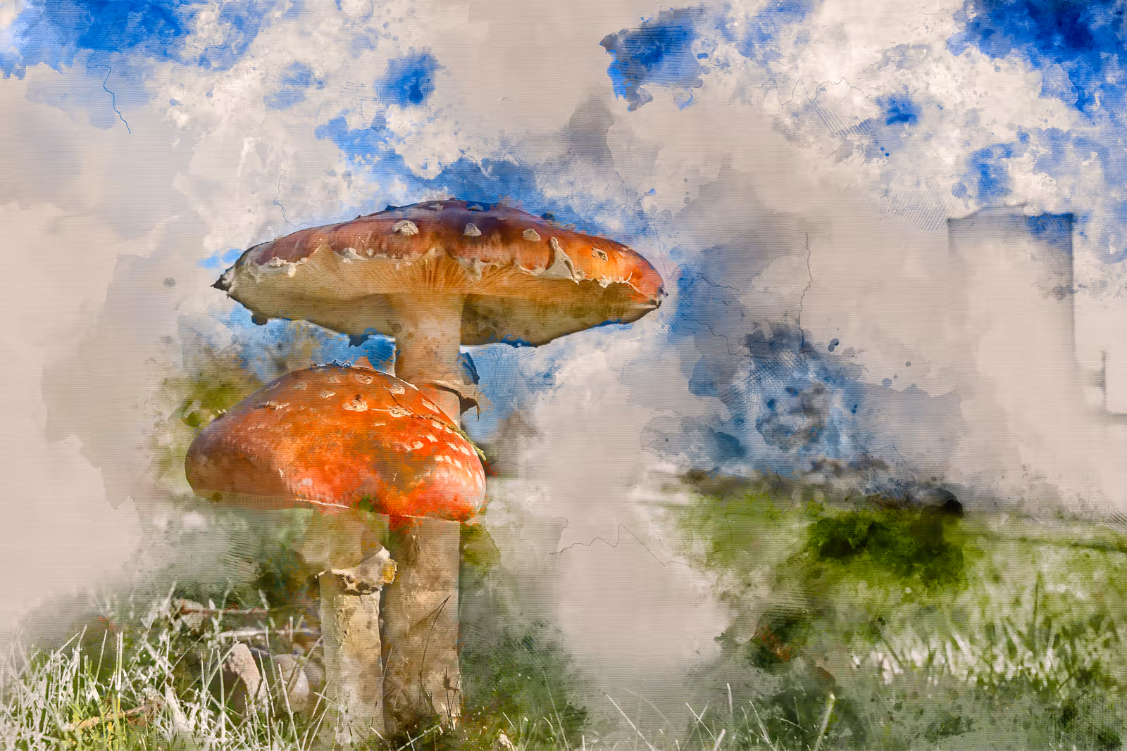 Rode paddenstoelen in gras