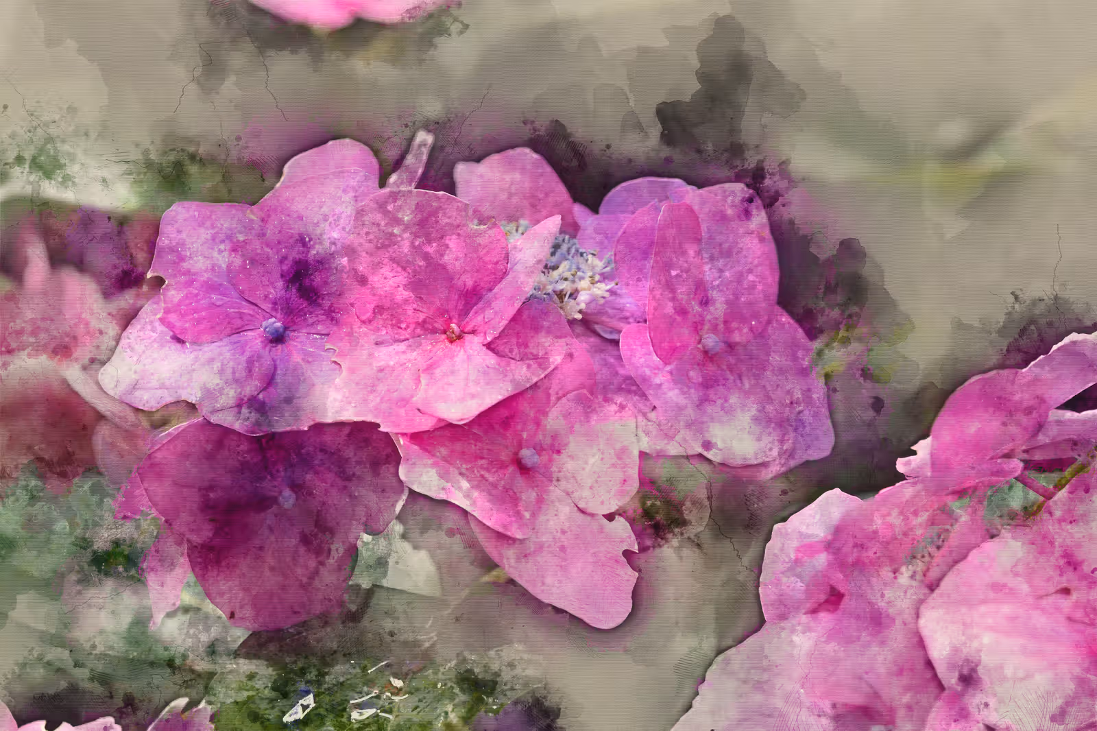Roze bloemen close-up
