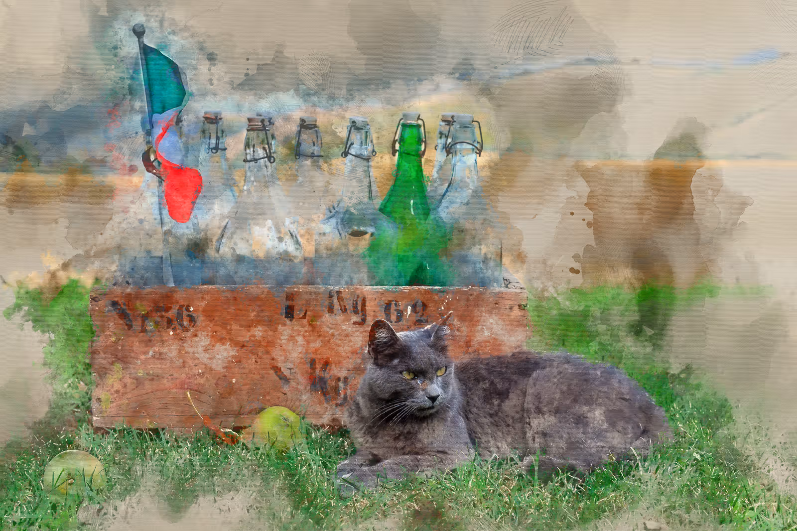 Grijze kat bij krat met flessen