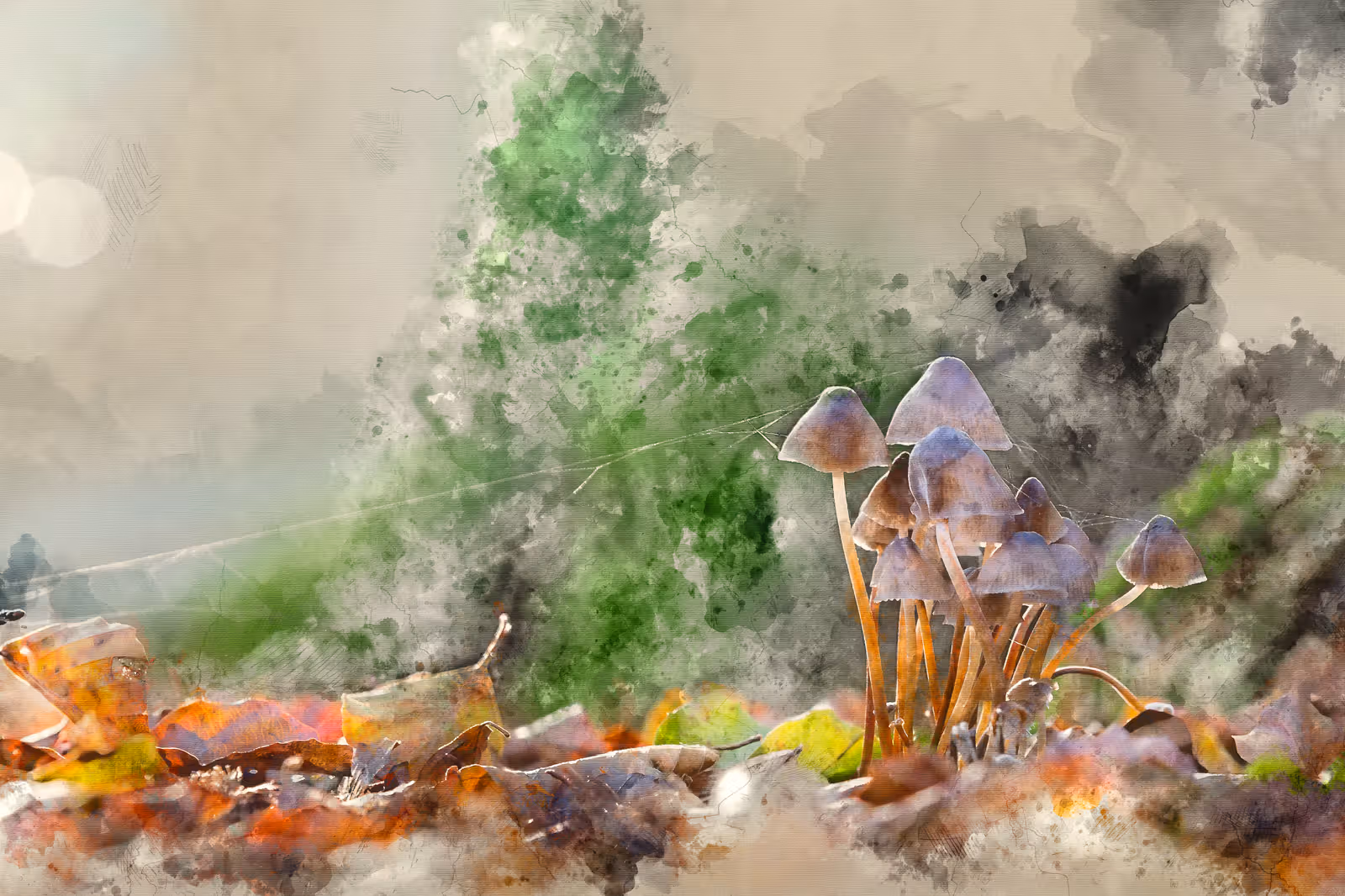 Herfstpaddenstoelen