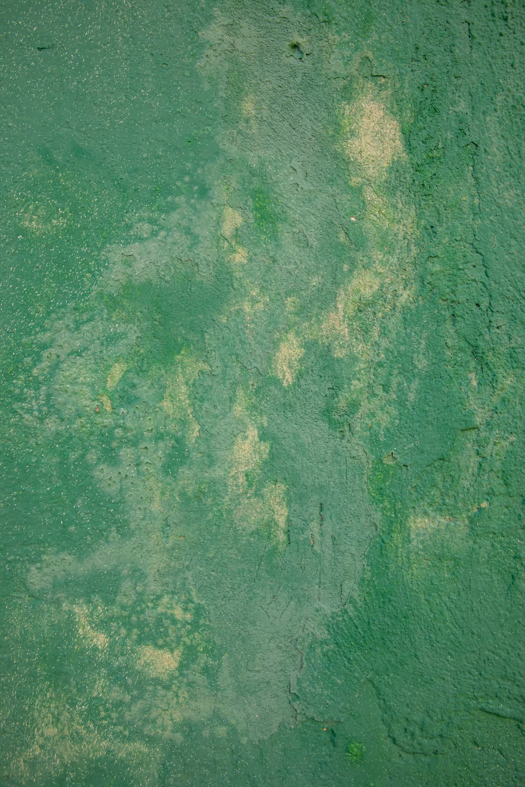Groene verweerde muur