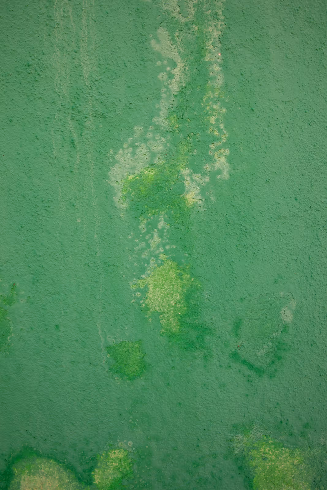Groene verweerde muur