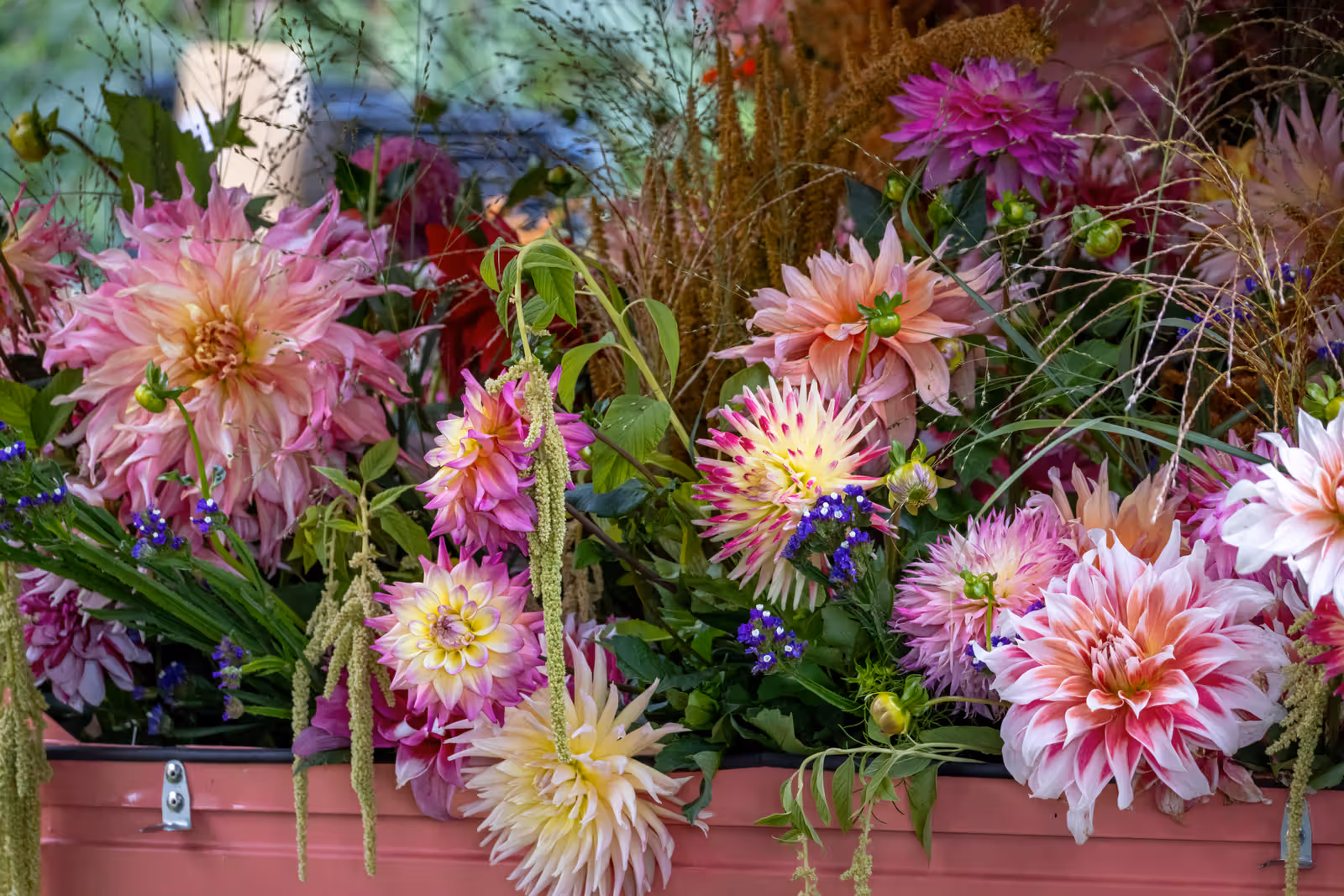Bloemenarrangement met dahlia's